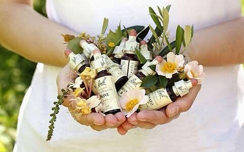 Bach-Blütenessenzen in der Hand